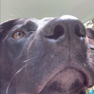 Meet your Posher, Jenna